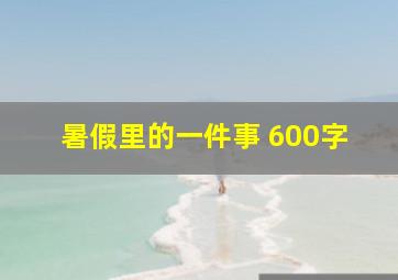 暑假里的一件事 600字